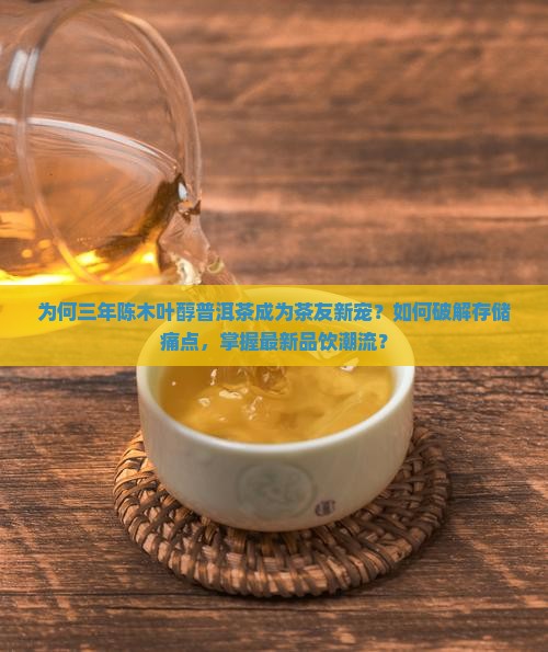 三年陈木叶醇普洱茶