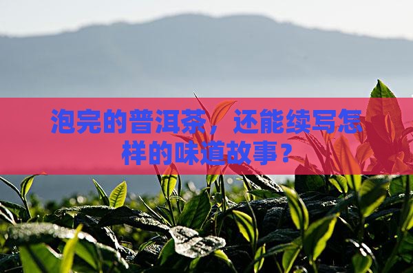 普洱茶泡完还能喝吗