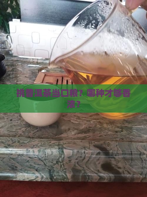 怎么选普洱茶口粮香浓厚