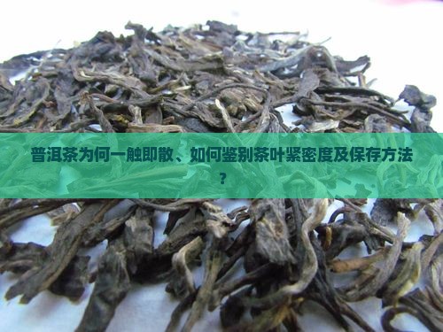 普洱茶一碰就散开了怎么回事 普洱茶一碰就散开了怎么回事
