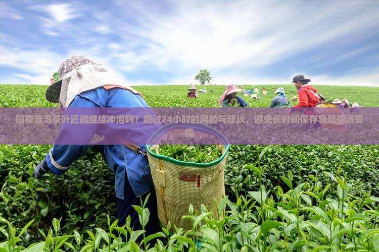 隔夜的普洱茶茶叶还能泡吗