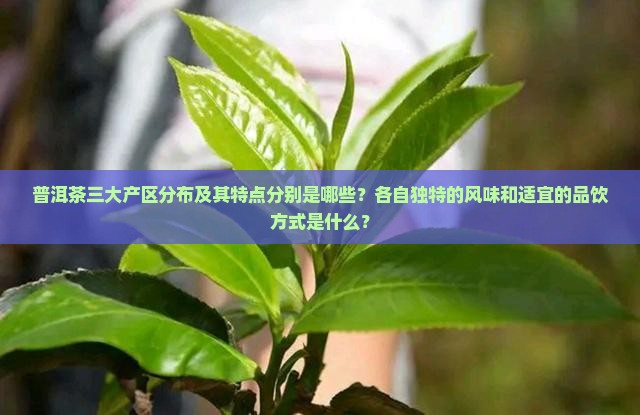 普洱茶三个产区分别是