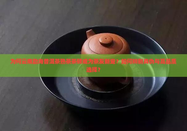 云南勐海普洱茶熟茶茶砖