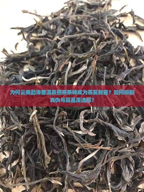 云南勐海普洱茶熟茶茶砖
