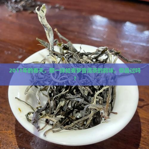 知青梦普洱茶2011春茶