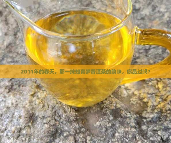 知青梦普洱茶2011春茶