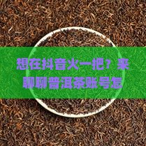 普洱茶账号抖音起号