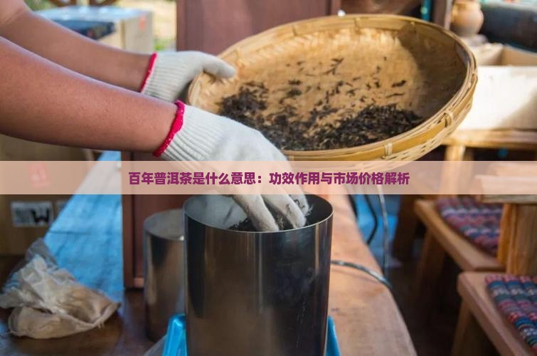 百年普洱茶是什么意思