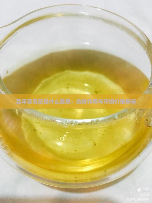 百年普洱茶是什么意思