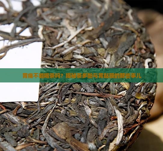胃痛不能喝茶吗
