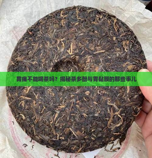 胃痛不能喝茶吗