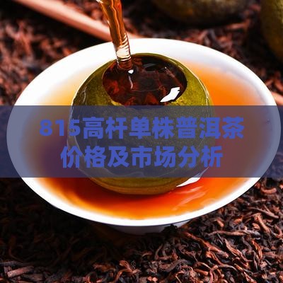 815高杆单株普洱茶