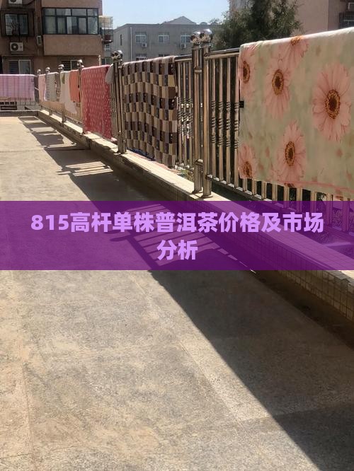 815高杆单株普洱茶
