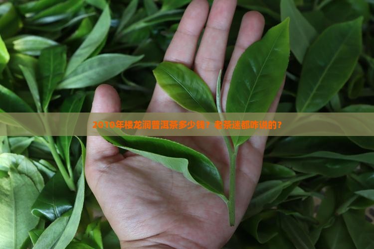 楼龙润普洱茶2010年价格