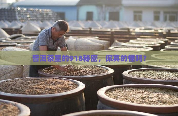 普洱茶918什么意思