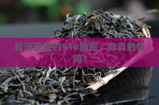 普洱茶918什么意思