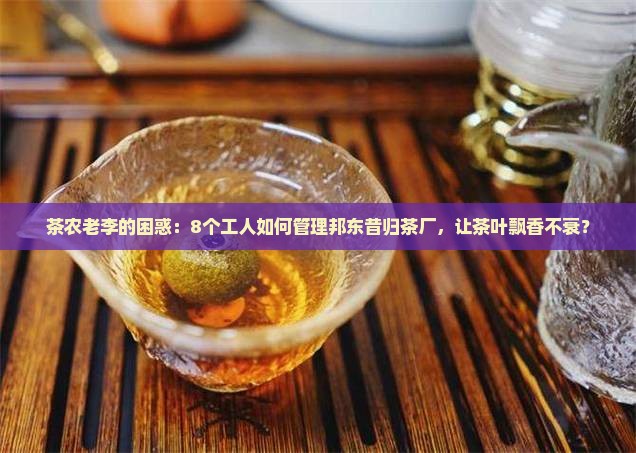 邦东昔归的茶厂