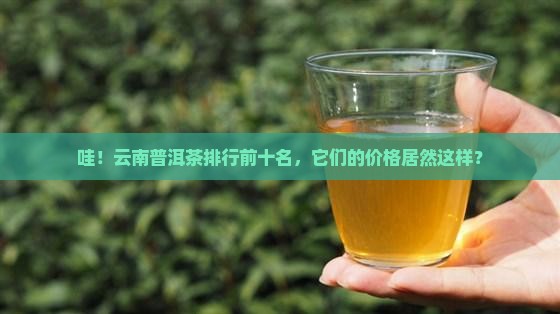 云南普洱茶排行榜前十名价格