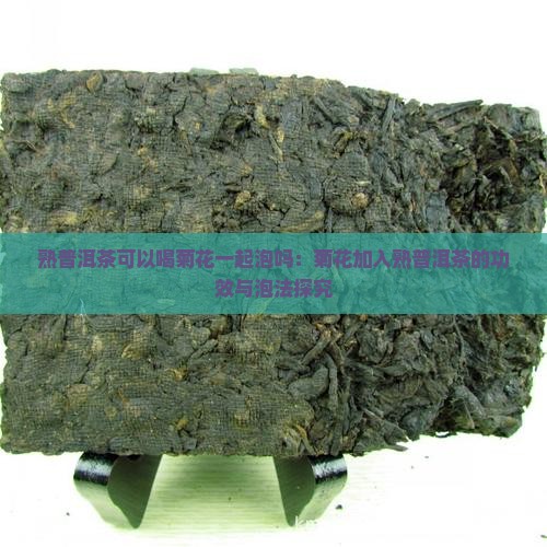 熟普洱茶可以喝菊花一起泡吗