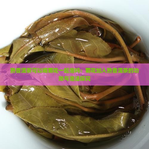 熟普洱茶可以喝菊花一起泡吗