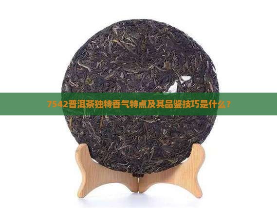 7542普洱茶的香味