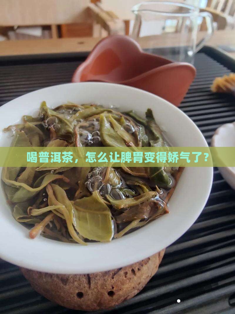 普洱茶导致脾虚