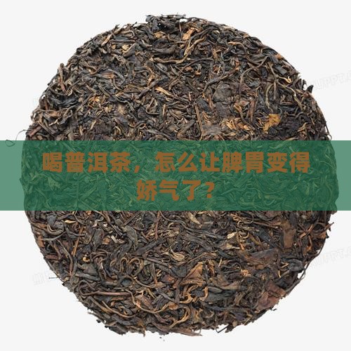 普洱茶导致脾虚