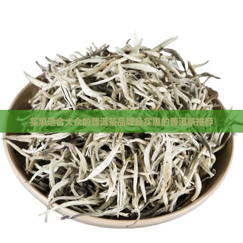 实惠适合大众的普洱茶