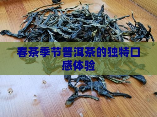 春季的普洱茶的口感