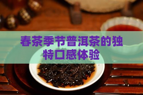 春季的普洱茶的口感