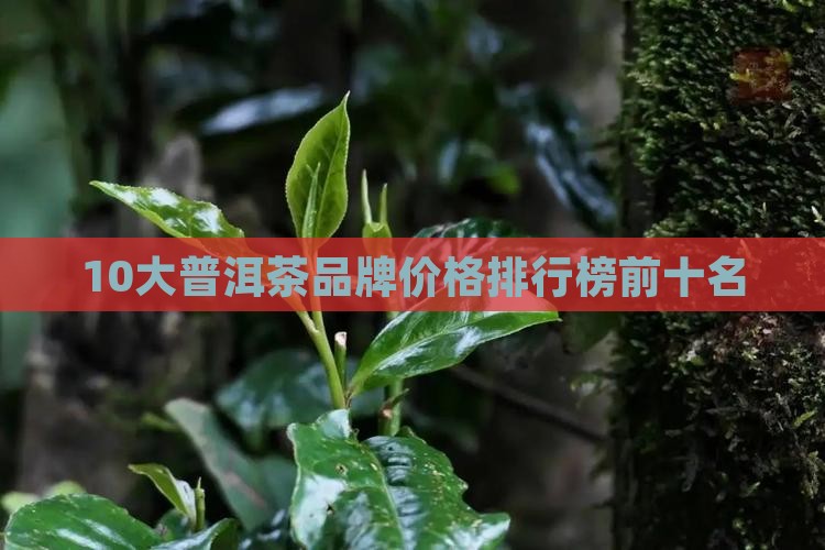 10大普洱茶品牌价格 10大普洱茶品牌价格