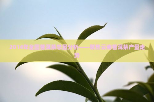 2014年全国普洱茶总量