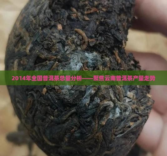 2014年全国普洱茶总量