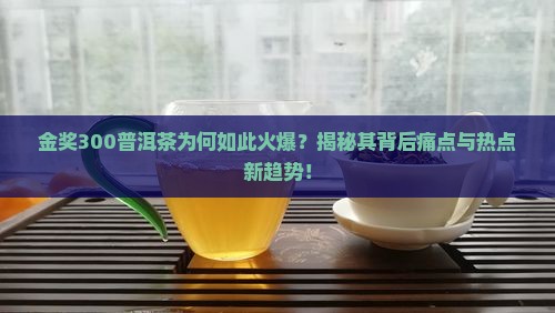 金奖300普洱茶