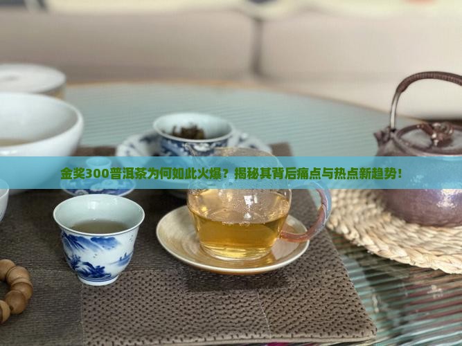 金奖300普洱茶