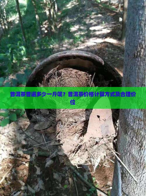 普洱茶普遍多少一斤呢