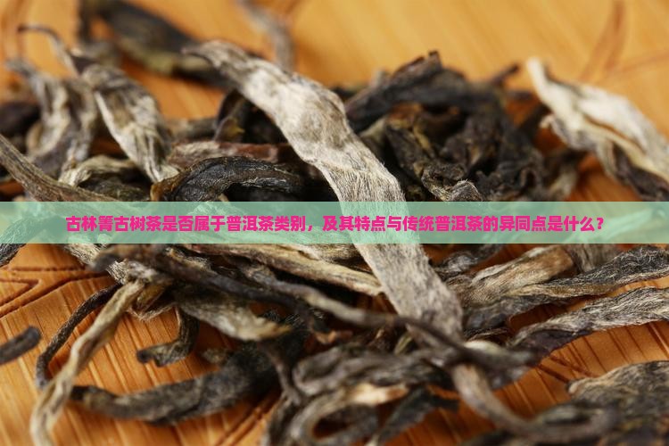 古林箐古树茶算是普洱茶吗