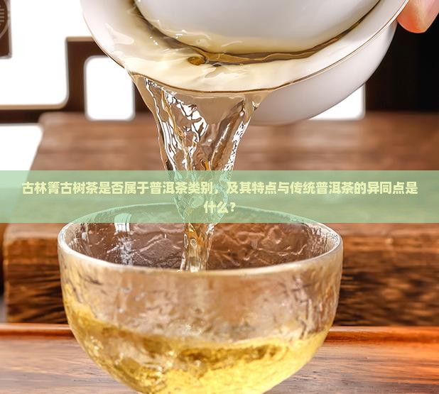古林箐古树茶算是普洱茶吗