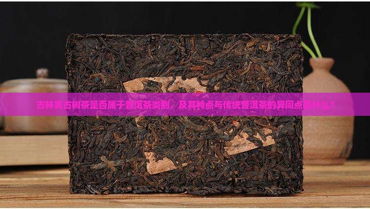 古林箐古树茶算是普洱茶吗