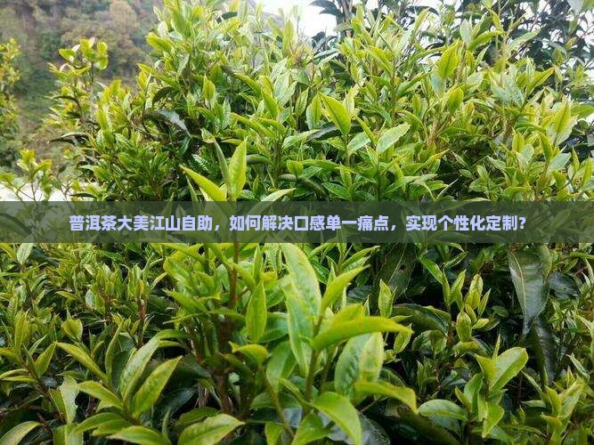 普洱茶大美江山自助