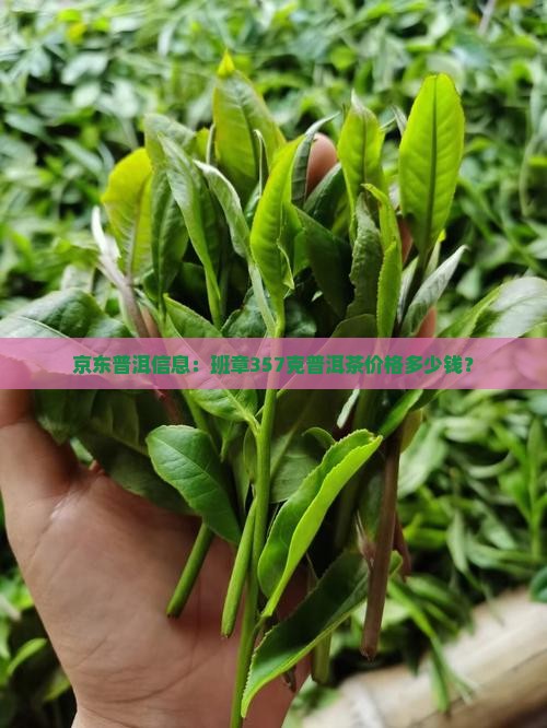 班章357克普洱茶多少钱