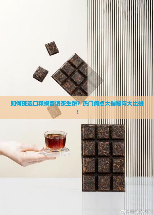 口粮级普洱茶生饼大比拼