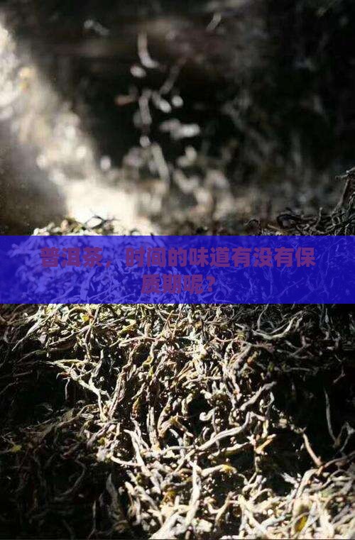 普洱茶有质保期么