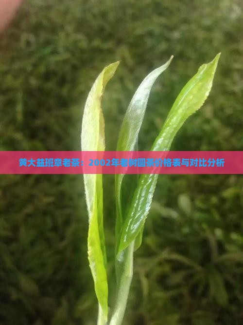 黄大益班章老茶