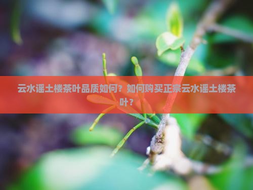 云水谣土楼茶叶