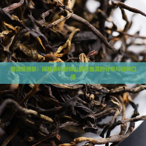 普洱茶熟茶口感介绍