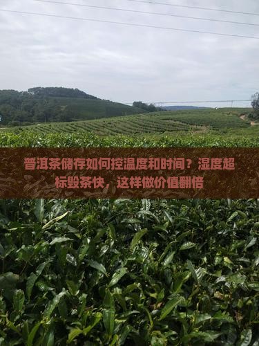 普洱茶储存如何控温度和时间