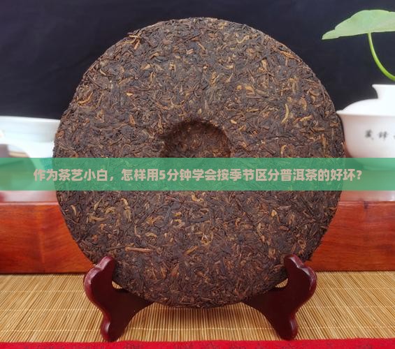 时间划分普洱茶