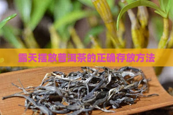 露天摆放普洱茶