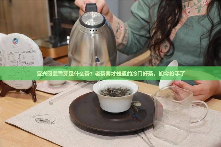 宜兴阳羡雪芽是什么茶